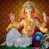 Indu Pandita Email