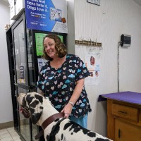 Humane Society of Forsyth County (HSFC) Employee Jennifer Morrill's profile photo