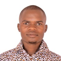 Livingston Enterprises, Inc. Employee Felix Mhamilawa's profile photo