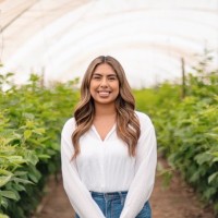 Brenda Torres Email