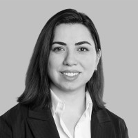Pinar Topal Email