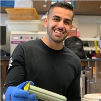 Focus Surgical Employee Massie Majidi's profile photo