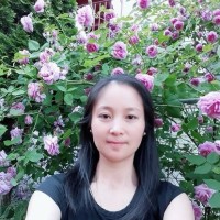 Boston Public Schools Employee Rose Vu's profile photo