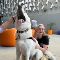 KLCS | PBS Los Angeles Employee Madison Stromski's profile photo