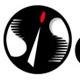Softnet Employee Internet's profile photo