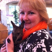 Fredericksburg Convention and Visitor Bureau Employee Janet Musgrove's profile photo