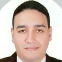 Mohamed Atef Email