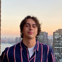 Michael Cammarata Email & Phone Number