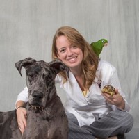 ABC Animal & Bird Clinic Employee Melissa McNeil's profile photo
