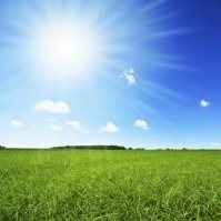 Solar Source Employee Ron Paterson's profile photo