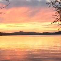 Cornell Cooperative Extension of Warren County Employee John Bowe's profile photo