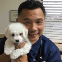 Fircrest Veterinary Hospital Employee Chris Eugenio's profile photo