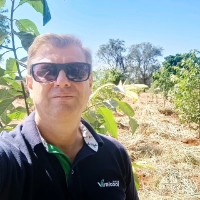 André Bresqui Email