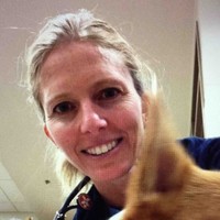 Tracy Webb Email & Phone Number