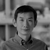 Yi Zhang Email & Phone Number