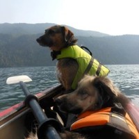 Heidi Piccirello Email