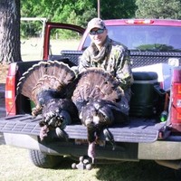 Central heating and air conditiong service,inc Employee Buddy Davis's profile photo