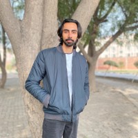 TechieMinions Employee Hussain Khan's profile photo