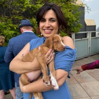 Alexis Sachdev Email & Phone Number