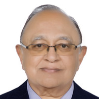Dubal Holding Employee Vipinchandra Verma's profile photo