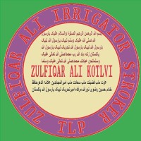 Stroke Employee Zulfiqar Ali's profile photo