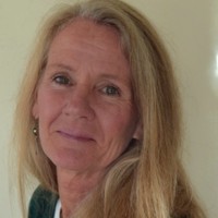 Robin Wimbiscus