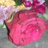Gool Employee Saraswathi P's profile photo