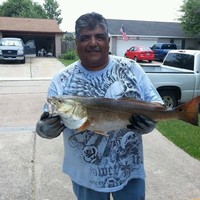 National Inspection Services Employee Roman Almanza's profile photo