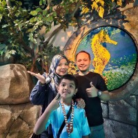 Shahrul Jamaludin Email