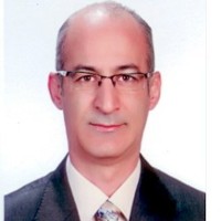 Ali Sadigh Email