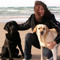 Abrams Auto Transport Employee Lauri Anderson's profile photo