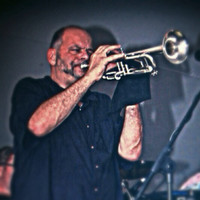 Peter Destasio Email & Phone Number