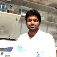 WeMakeScholars Employee Arjun Krishna's profile photo