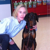 Law Office-Sole Practitioner Employee Penelope Ball Gourse's profile photo