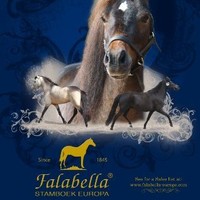 Falabella Europe