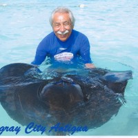 Open Fields srl Employee Flavio Codovilli's profile photo