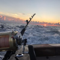 John Herbert Email & Phone Number