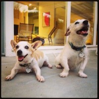 Trailer Park Employee Rudy Calvero's profile photo