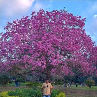 MiQ Employee Bala T's profile photo