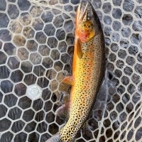 Alabama Secretary of State Employee Clay H.'s profile photo