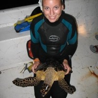 MHT Consulting LLC Employee Jaclyn Schaffner's profile photo