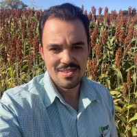 Indigo Employee Heitor Morais Silva's profile photo