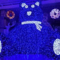 Carpenter Decorating Employee Vicky Febre''s profile photo