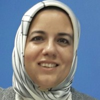 Noha Hamdy Email