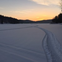 Michael Rice Email & Phone Number