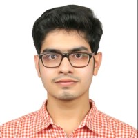 Nelito Systems Pvt. Ltd. Employee Royce Remedios's profile photo