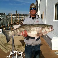 Matt Fogle Email & Phone Number