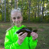 Georgia Department of Natural Resources Wildlife Resources Division Employee Thomas Litts's profile photo