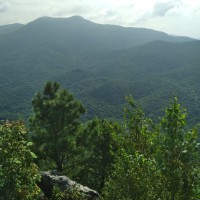 Robert Grider Email