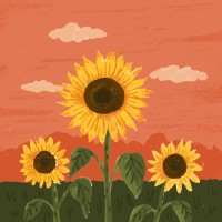 Cassidy Schumacher Email